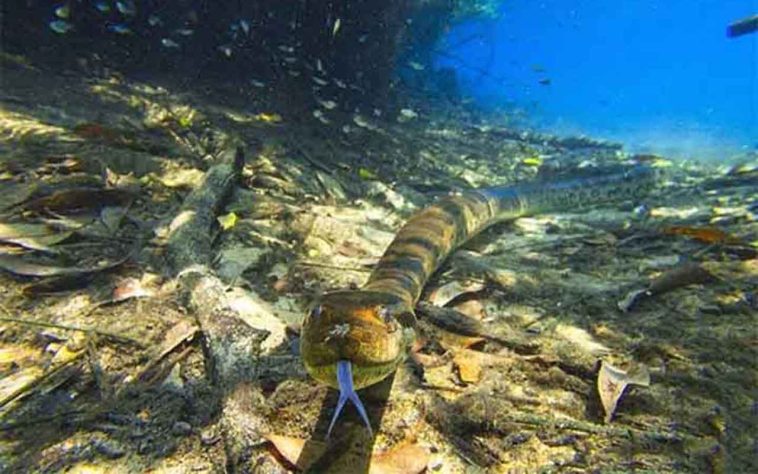 Bonito (MS), destino do ecoturismo