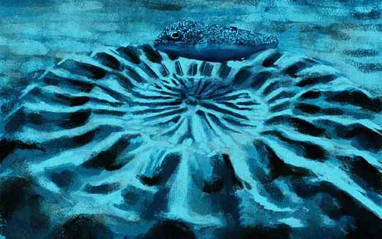 Peixe baiacu japonês (Torquigener albomaculosus): Machos dessa espécie desenham complexos padrões circulares na areia para atrair as fêmeas. Esses padrões, que lembram mandalas, são feitos com o movimento de suas barbatanas e ajudam a abrigar os ovos.