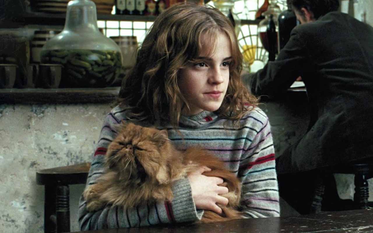 Bichento – Gato perspicaz de Hermione, muito inteligente e capaz de reconhecer o disfarce de Pedro Pettigrew. Defende sua dona e persegue Perebas, o rato de Ron.
