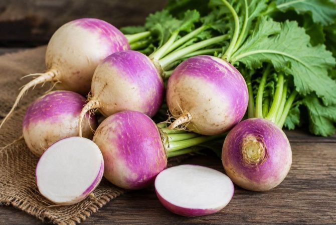 Nabo na mesa: como usar essa raiz nutritiva em diferentes receitas