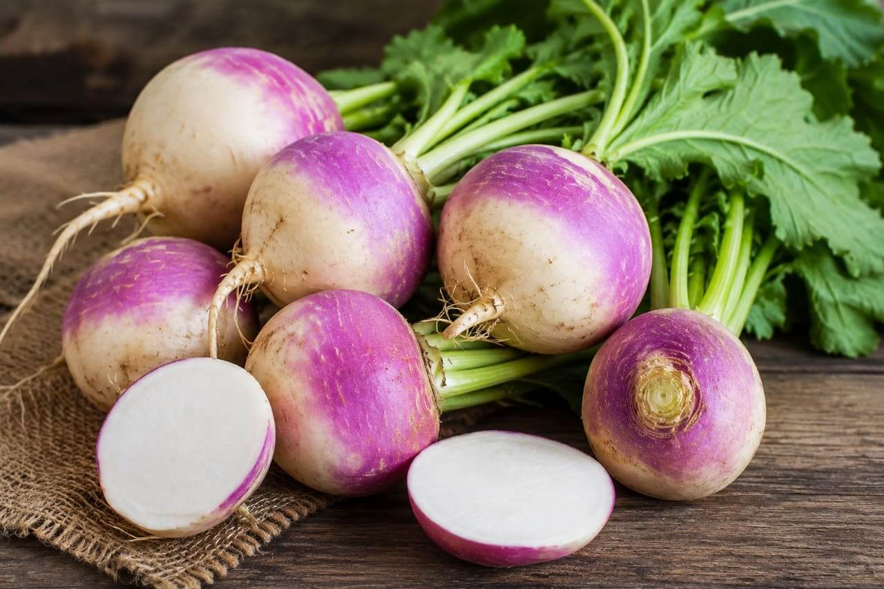 O nabo é uma raiz cultivada há milhares de anos e consumida em diversas partes do mundo. Embora não seja tão popular quanto a batata ou a cenoura em muitos lares brasileiros, destaca-se pela versatilidade culinária e pelo valor nutricional.  -  (crédito: imagem gerada por i.a )
