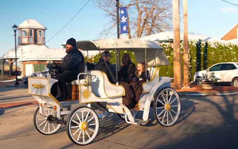 Poços de Caldas encerra serviço de charretes a cavalo