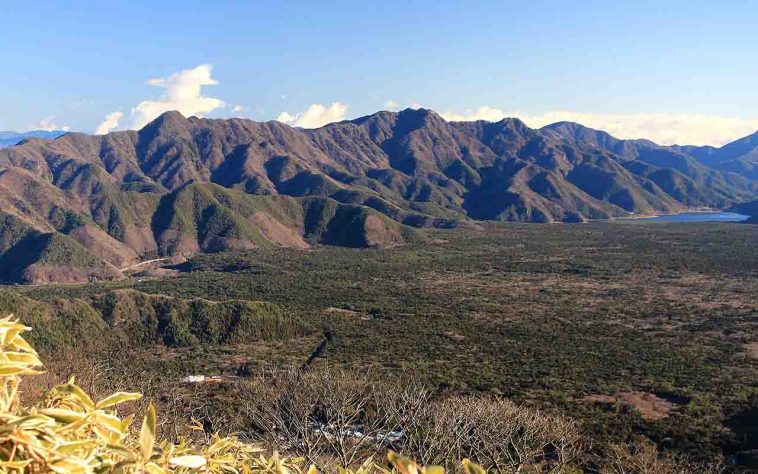 Sua relevância geológica, ecológica e cultural é muito mais ampla - Floresta Aokigahara, situada na base noroeste do monte Fuji, no Japão - Alpsdake/Wikimédia Commons