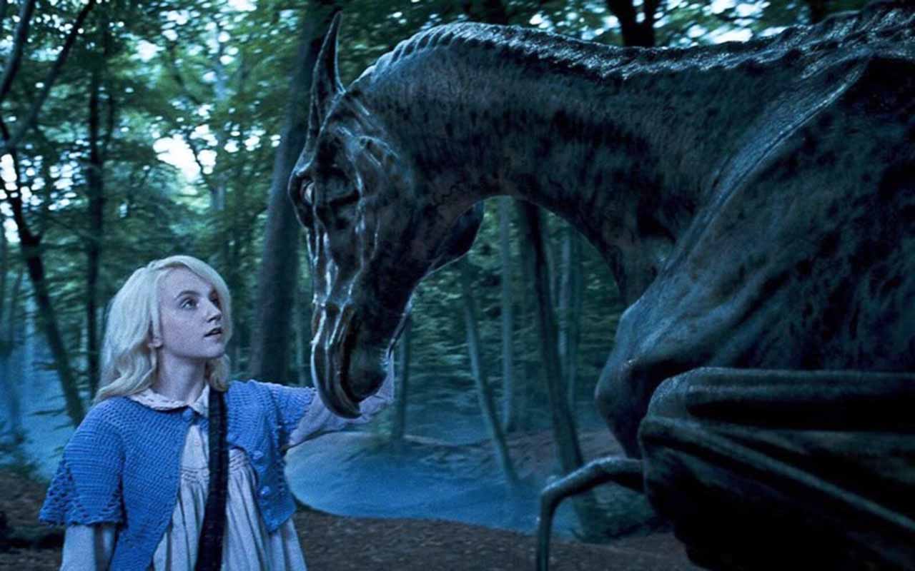 Testrálio – Cavalos esqueléticos e alados que puxam as carruagens de Hogwarts. Apenas aqueles que viram a morte podem enxergá-los, tornando-os símbolos de perda e compreensão.