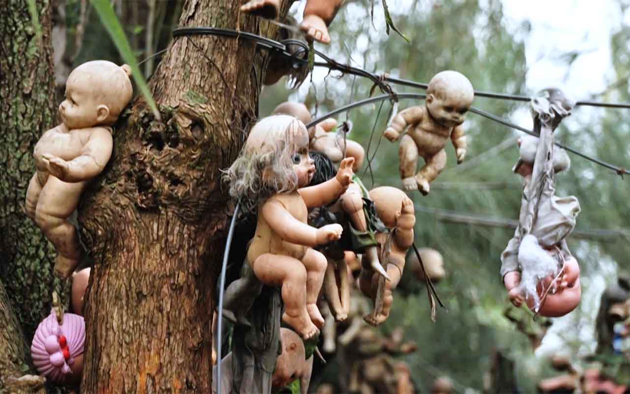 Outros afirmam ouvir ruídos estranhos ou perceber movimentos provocados pelo vento, interpretações que alimentam histórias paranormais. Apesar da fama de assombrada, a ilha também possui importância cultural e antropológica por representar uma mistura singular de crenças populares, tradição, religiosidade e construção cultural do imaginário coletivo.