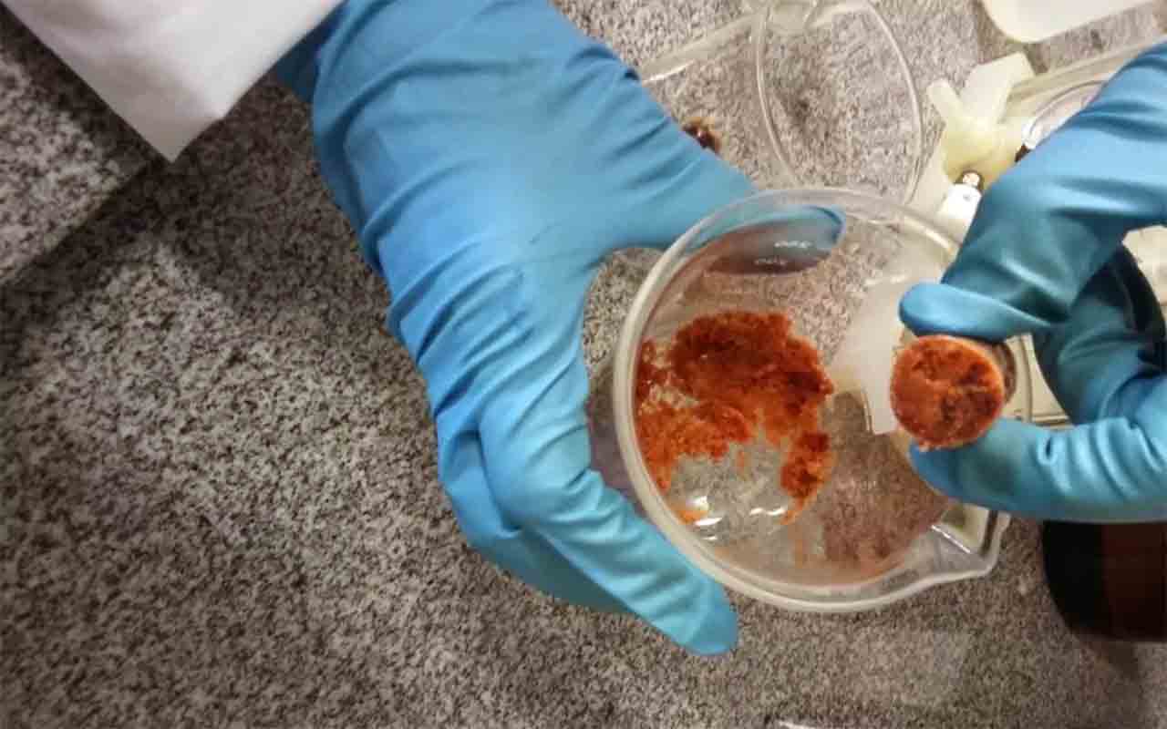 6 - Prevenir contra o câncer: O própolis apresenta potencial anticancerígeno por estimular o sistema imunológico e ajudar a inibir a multiplicação de células anormais. Estudos indicam que ele pode atuar como complemento em alguns tratamentos e contribuir para a prevenção e controle da doença.
