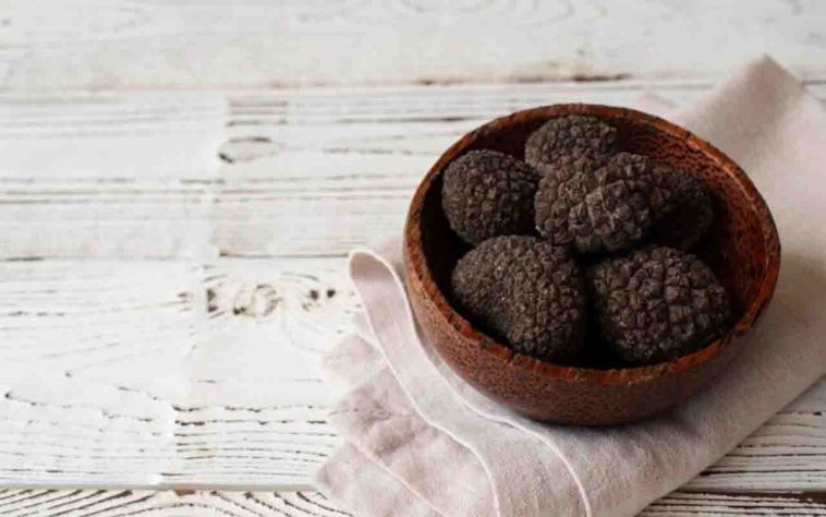 Trufas negras