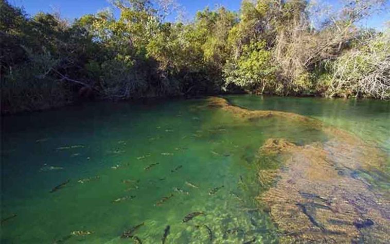 Bonito (MS), destino do ecoturismo