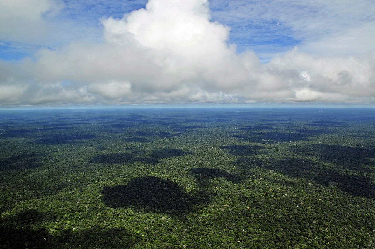 2ª - Floresta Amazônica – Maior floresta tropical do mundo. Com 7 milhões de km², se estende por partes do Amazonas, Amapá, Pará, Acre, Roraima, Rondônia, Mato Grosso e Maranhão. Também ocupa trechos da Venezuela, Colômbia, Bolívia, Equador, Suriname, Guiana e Guiana Francesa. 