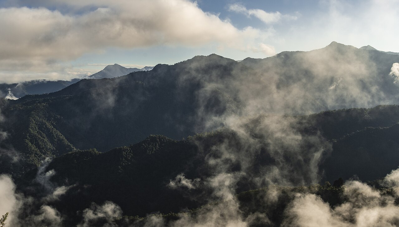 5ª - Floresta Nublada – Equador - Localizada na Cordilheira do Andes,  possui mais de 400 espécies de aves, que atraem grande número de visitantes. O solo é pouco fértil e a diversidade da flora é pequena, abrigando principalmente espécies de orquídeas. A fauna inclui belos pássaros como o toucan barbet, bem colorido.
