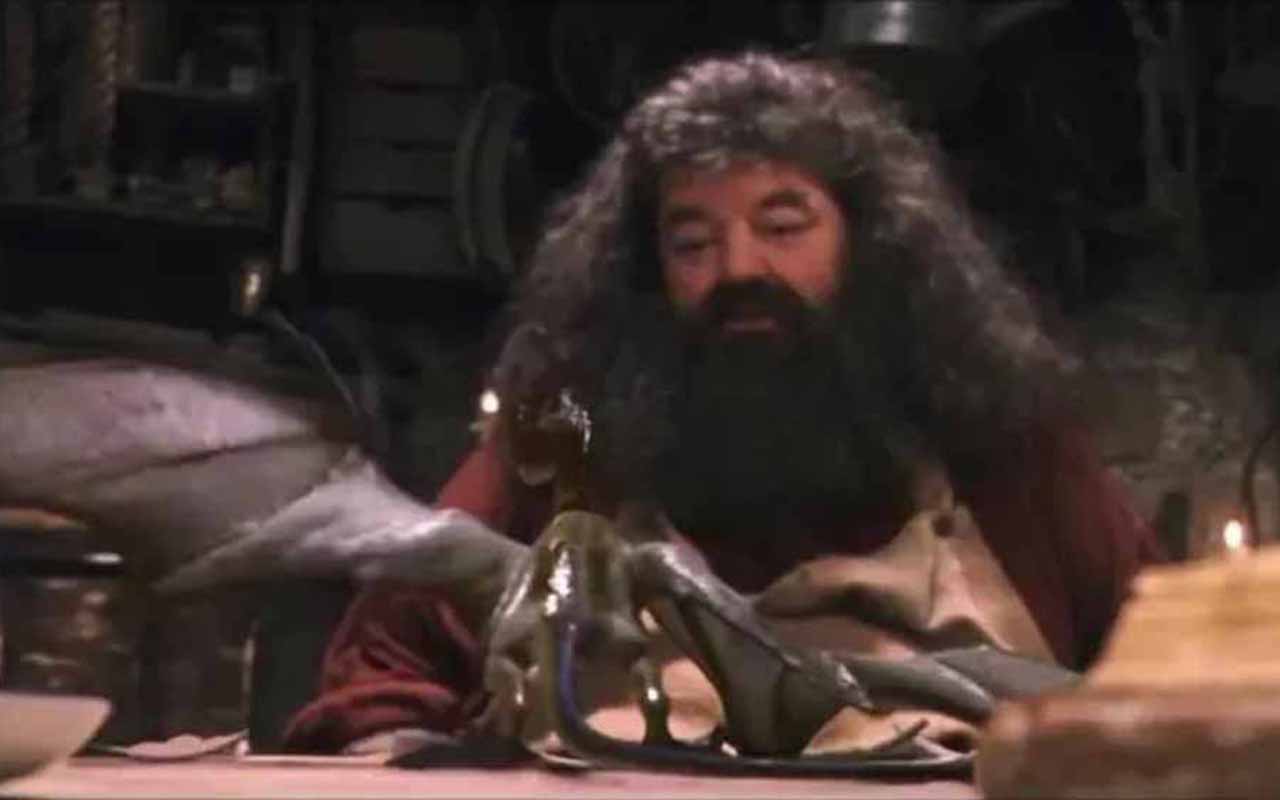 Norberto (Norberta) – Dragão-norueguês criado por Hagrid quando filhote. Originalmente chamado de Norberto, depois é revelado ser fêmea e enviado para a Romênia.

