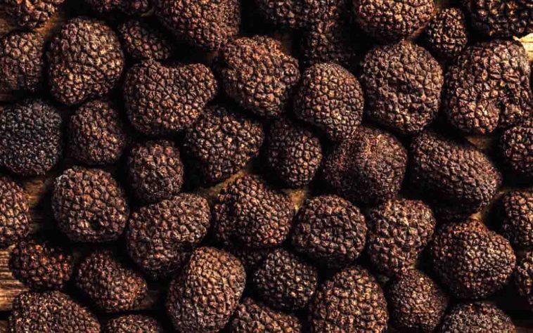 Trufas negras