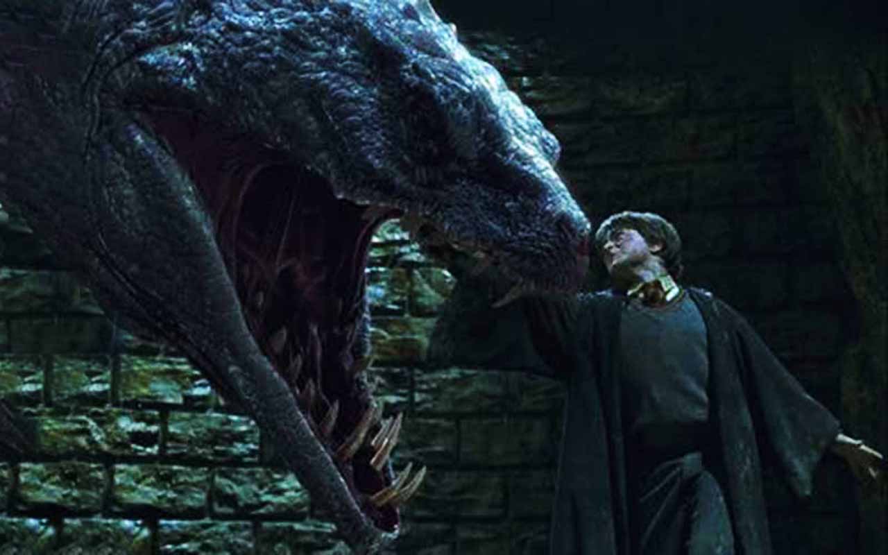 O Basilisco – Serpente gigante que vive na Câmara Secreta e obedece a descendentes de Salazar Slytherin. Seu olhar é letal, e Harry a derrota com a ajuda de Fawkes.

