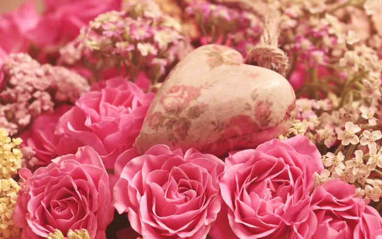 Presentear com rosas é um gesto clássico em datas especiais como aniversários, Dia dos Namorados e pedidos de desculpas. Um buquê pode dizer o que palavras não alcançam.