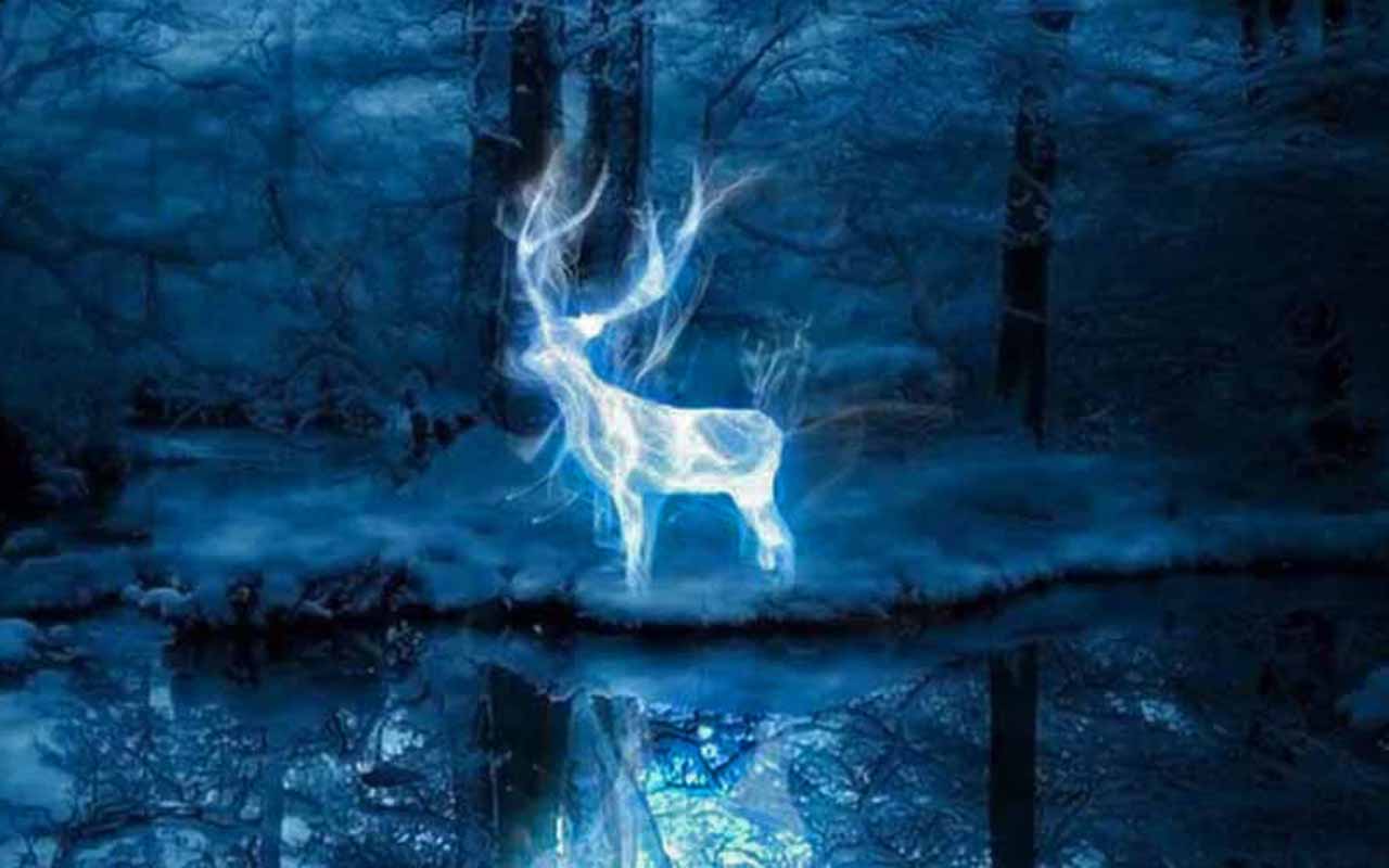 O cervo - O Patrono é um feitiço poderoso usado para proteção contra Dementadores e outras criaturas das trevas. O de Harry assume a forma de um cervo, assim como o de seu pai, Tiago Potter. Esse animal simboliza coragem, nobreza e a conexão de Harry com sua família.