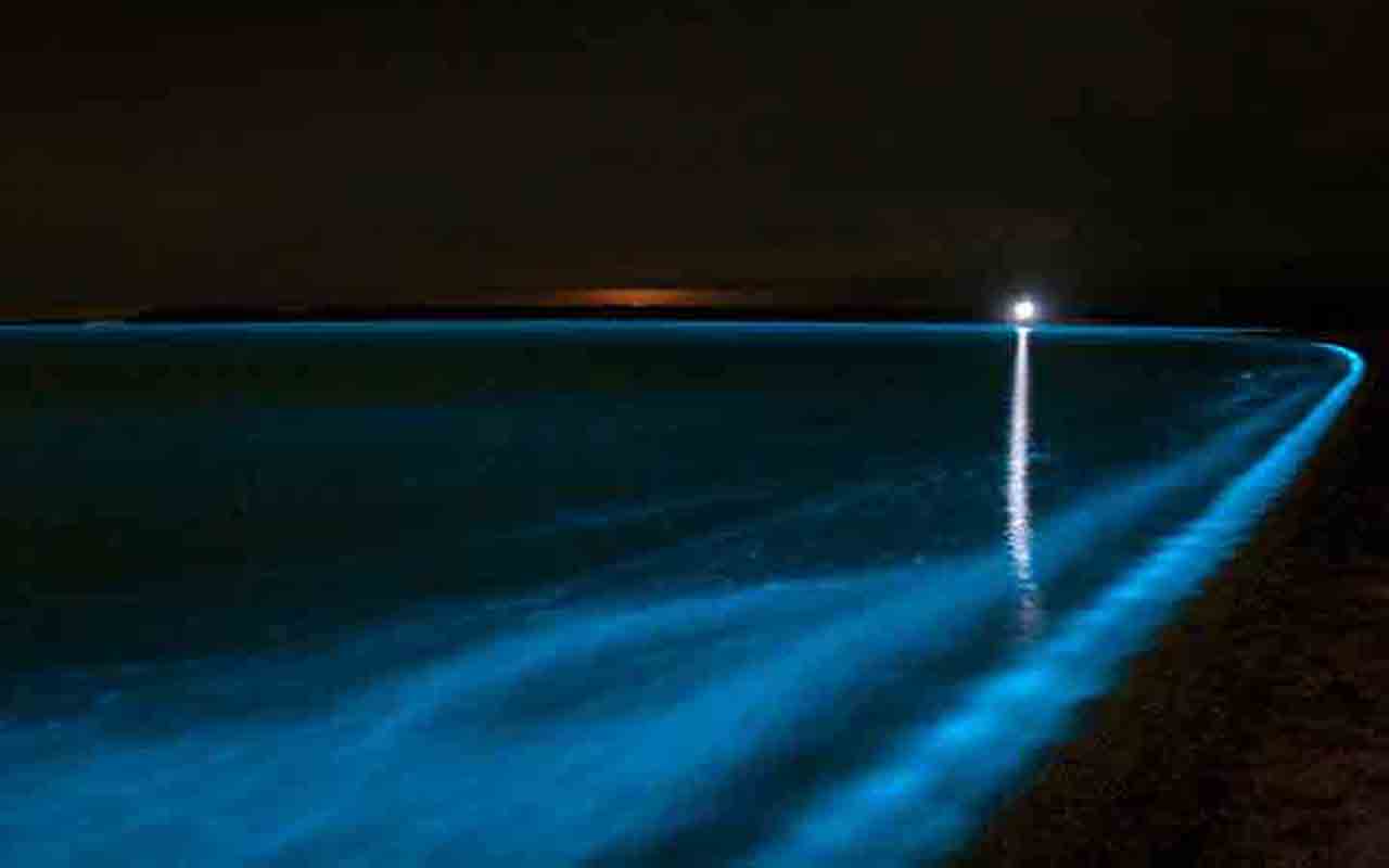 Parque Nacional Gippsland Lakes - Situado em Vitória, na Austrália, o lago é iluminado por dinoflagelados, oferecendo uma visão deslumbrante.
