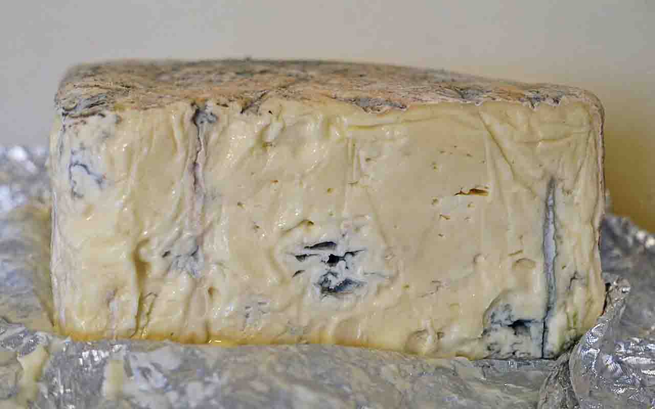 Gorgonzola – É um queijo azul de sabor forte e cremoso, fabricado no norte da Itália. Pode ser doce ou picante, e é usado em molhos, risotos ou com frutas como peras.