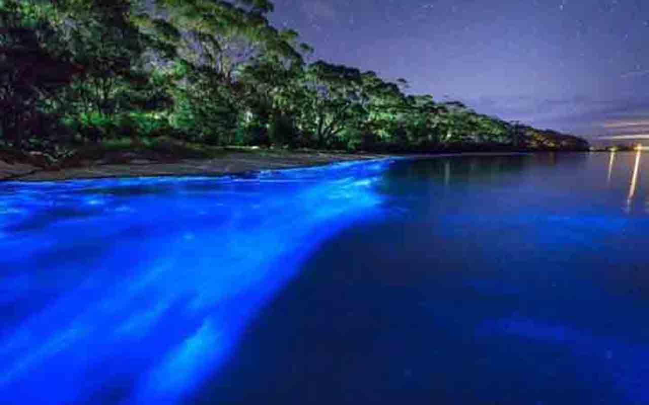 Laguna Grande, Fajardo - Na costa de Porto Rico, é mais um destino do protetorado americano que registra o fenômeno natural.