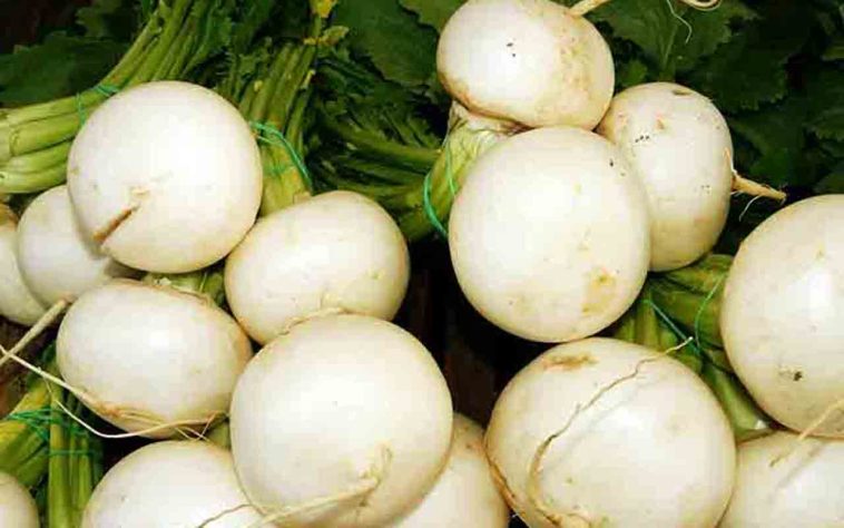 Tubérculos