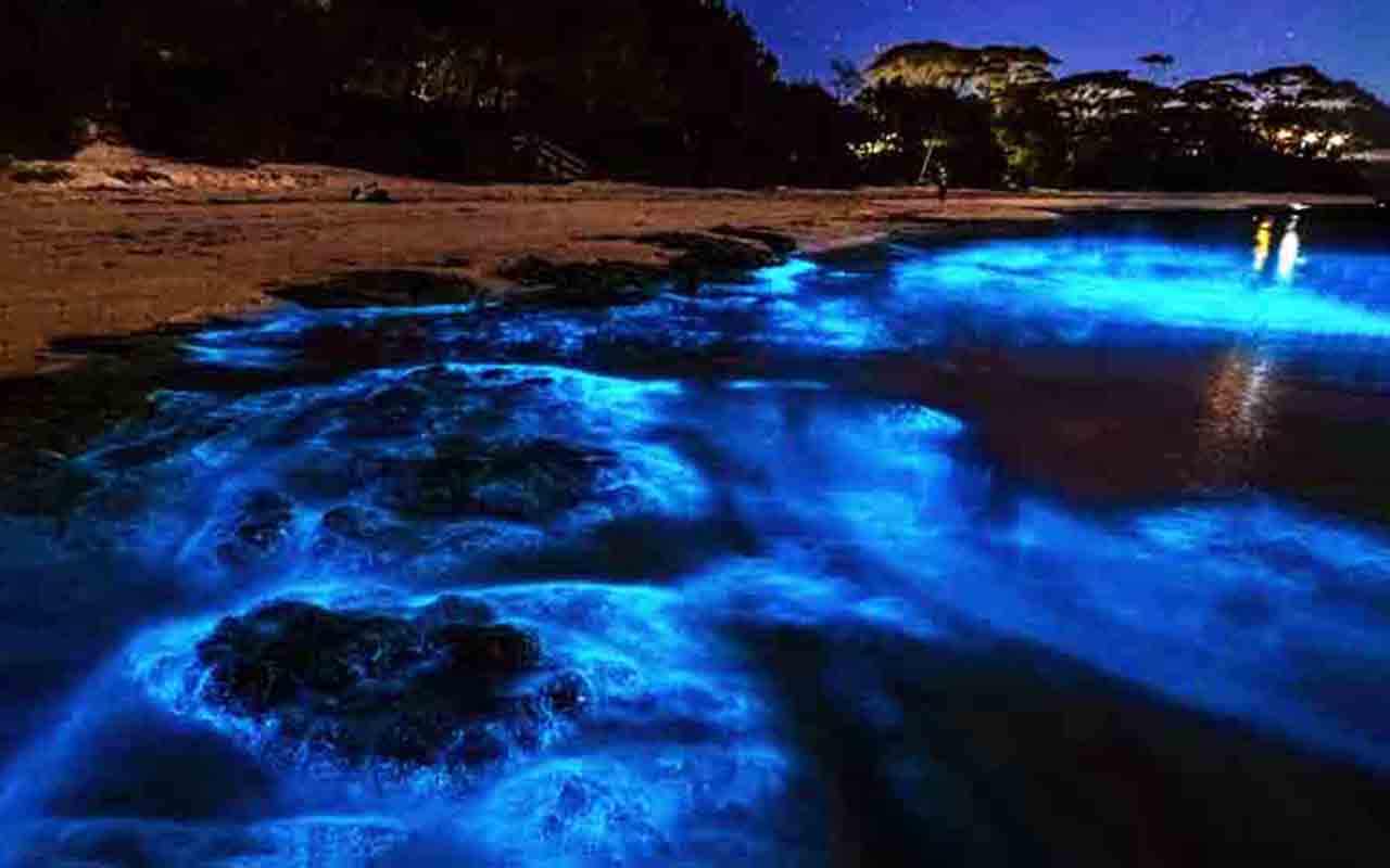 Praia de Jervis Bay - Localizada na Austrália, é uma localidade paradisíaca que também verifica o fenômeno natural da bioluminescência. 