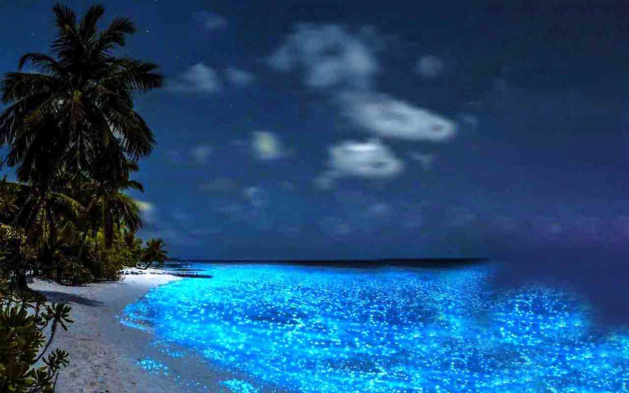 Ilha de Holbox - Pequeno território do estado de Quintana Roo, no México, que é palco de manifestações luminescentes em determinados períodos do ano.

