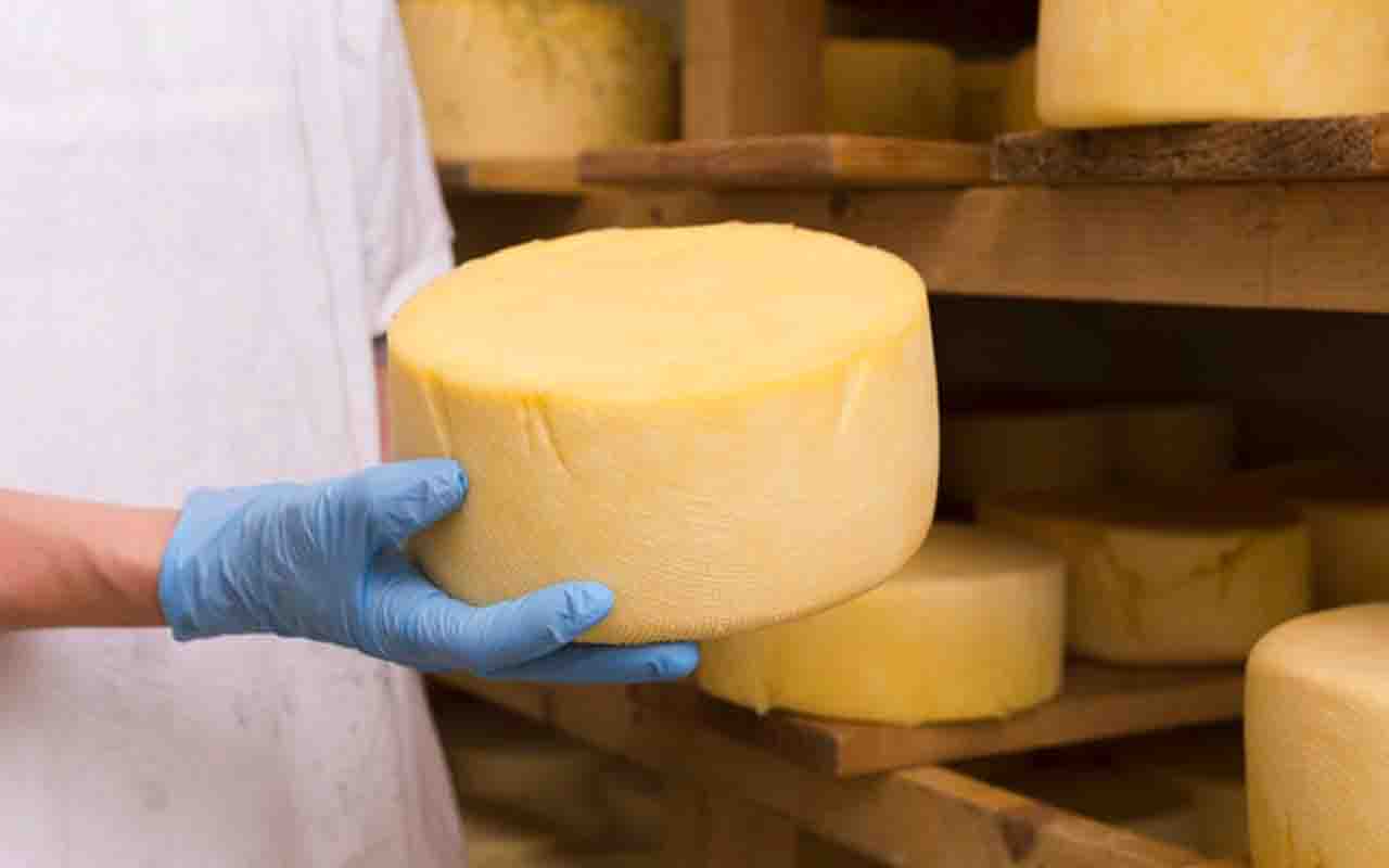 Queijo Canastra – Feito artesanalmente com leite cru na Serra da Canastra, em Minas Gerais, tem casca amarelada e sabor amanteigado que se intensifica com a cura. É um dos queijos mais premiados do Brasil no exterior.