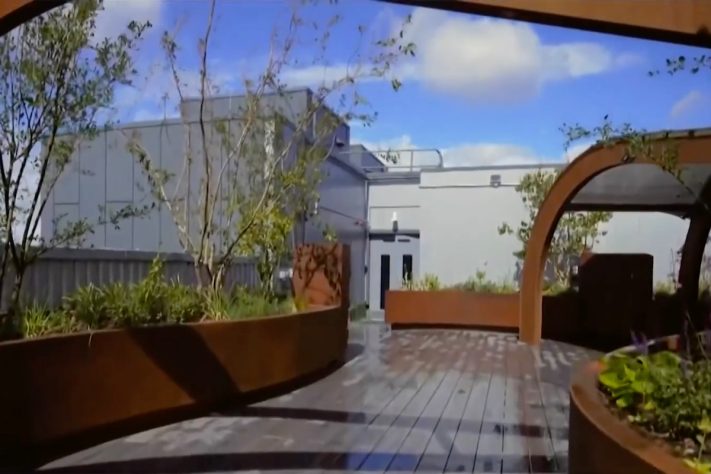 King's College Hospital, em Londres, inaugura jardim no terraço para receber pacientes de unidade de terapia intensiva – Reprodução/TV Globo
