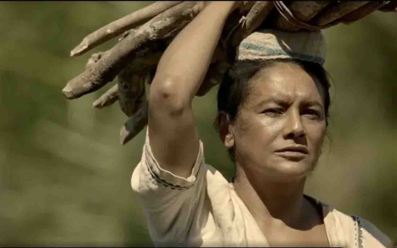 Paralelamente ao trabalho artístico, Dira Paes tornou-se uma voz ativa em pautas relacionadas à cultura, à preservação ambiental e à valorização da Amazônia. Ao longo dos anos, participou de campanhas de conscientização, projetos sociais e iniciativas voltadas à defesa dos biomas brasileiros, frequentemente utilizando sua visibilidade para ampliar discussões sobre sustentabilidade e diversidade cultural. 