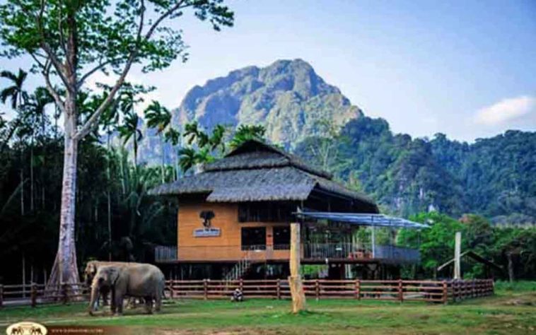 Elephant Hills, Tailândia - Os 20 hotéis mais surpreendentes do planeta, segundo a Forbes - Reprodução do Instagram @elephanthills_thailand