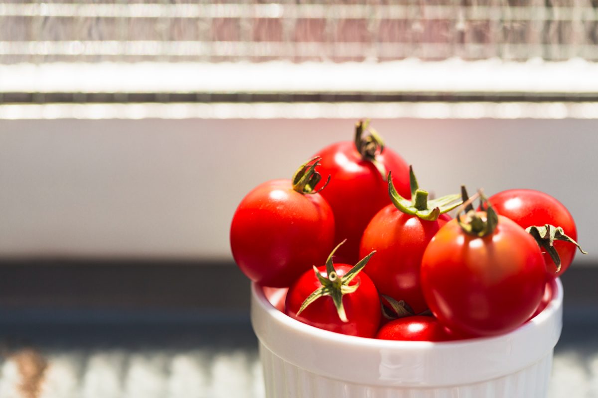 Tomates – Reprodução/Freepik
