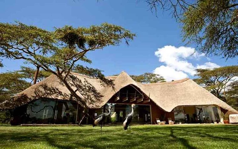 Solio Lodge, Quênia - Os 20 hotéis mais surpreendentes do planeta, segundo a Forbes - Divulgação