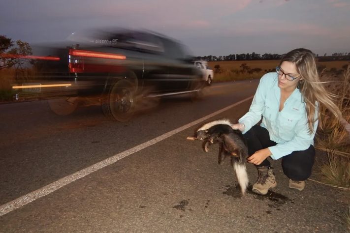 Bióloga Fernanda Abra – Divulgação