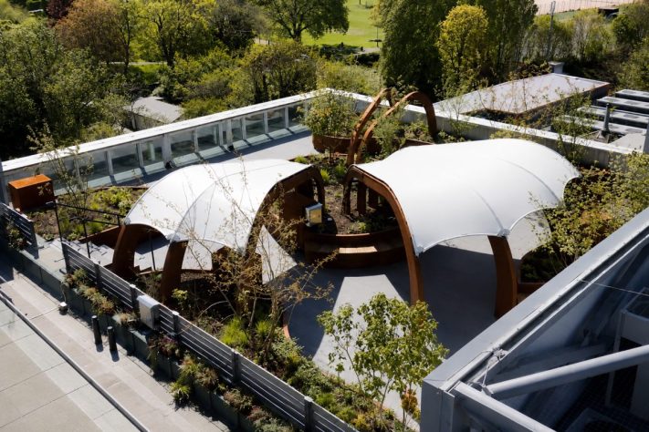 King's College Hospital, em Londres, inaugura jardim no terraço para receber pacientes de unidade de terapia intensiva – Divulgação