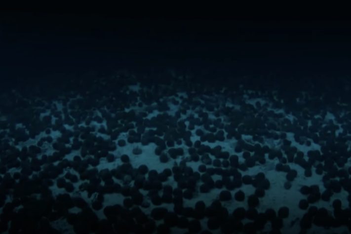 Luz iluminando fundo do mar/oceano profundo – Imagem gerada por IA/Reprodução/YouTube