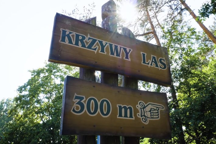 Krzywy Las, 