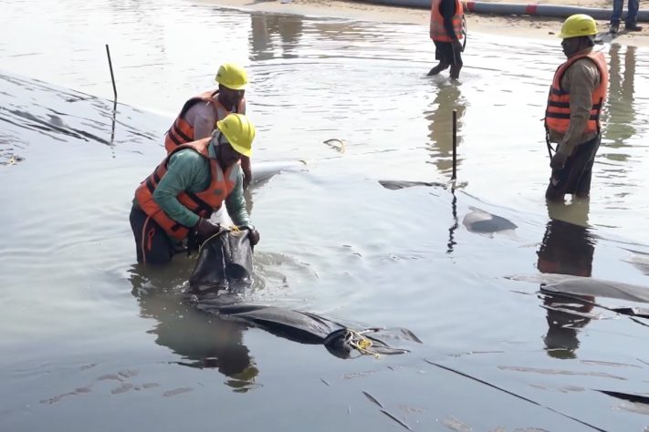 Sacos gigantes de areia são usados para conter a erosão marinha – Reprodução/TechFab India