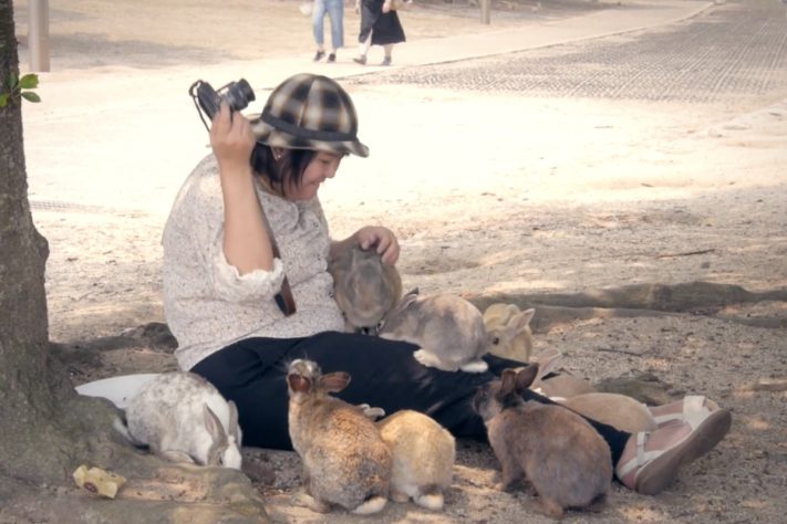 Okunoshima, ilha dos coelhos, Japão – Reprodução/YouTube Tokyo Cheapo