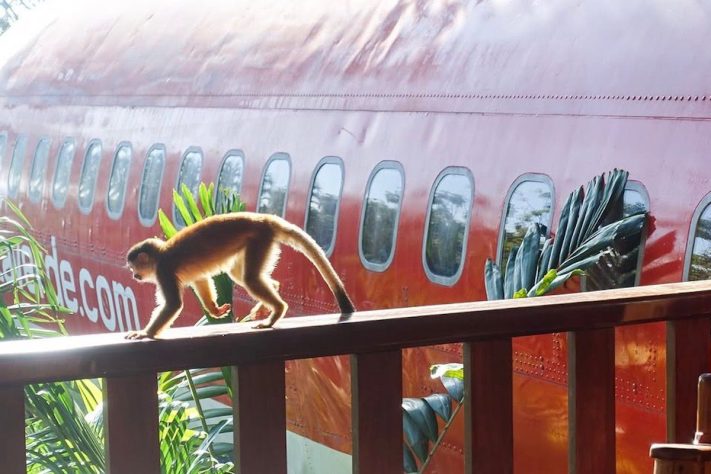 Na Costa Rica, Boeing abandonado no meio da floresta vira hotel e se torna uma das atrações mais curiosas do mundo – Reprodução/Instagram @hotelcostaverde