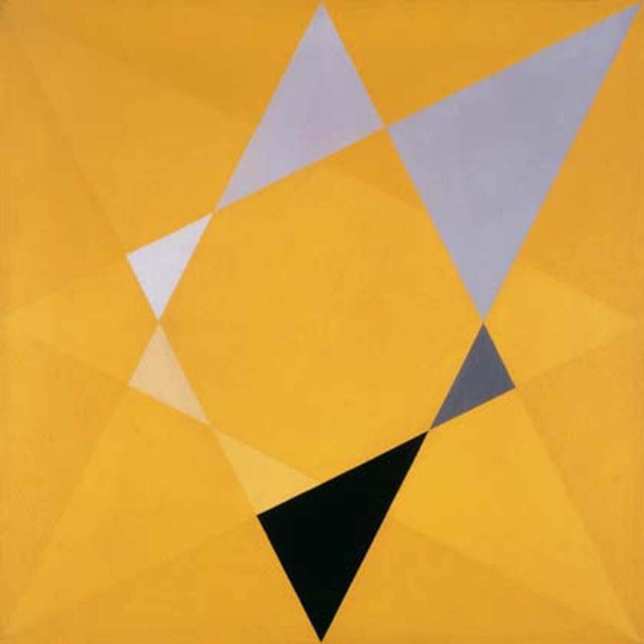 Em 1951, realizou sua primeira exposição individual no Museu de Arte Moderna de São Paulo. No mesmo ano, se mudou para Paris. A partir de 1952, passou a se dedicar intensamente à arte concreta. Em 1953, se mudou para Ulm, na Alemanha, onde estudou até 1958 na Hochschule für Gestaltung, no Departamento de Design Visual, onde teve como professores nomes como Max Bill e Josef Albers.
