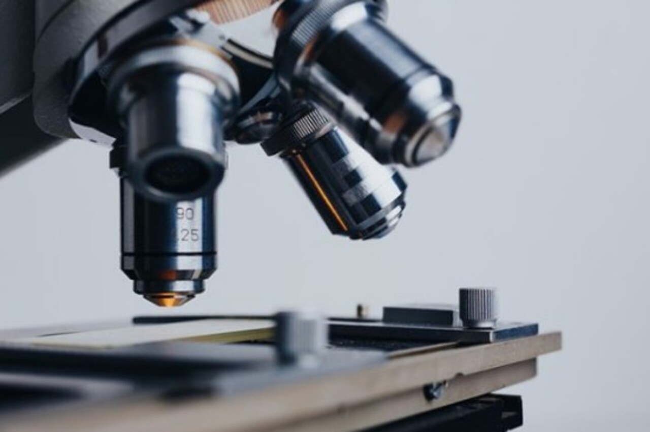 Pesquisadores estudam essas toxinas para compreender seus mecanismos e possíveis aplicações médicas. O objetivo é transformar veneno em remédio, explorando moléculas para novos tratamentos. Dessa forma, o perigo pode se tornar oportunidade.