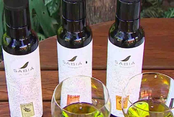 Prestígio: Azeite brasileiro recebeu nota inédita em guia italiano