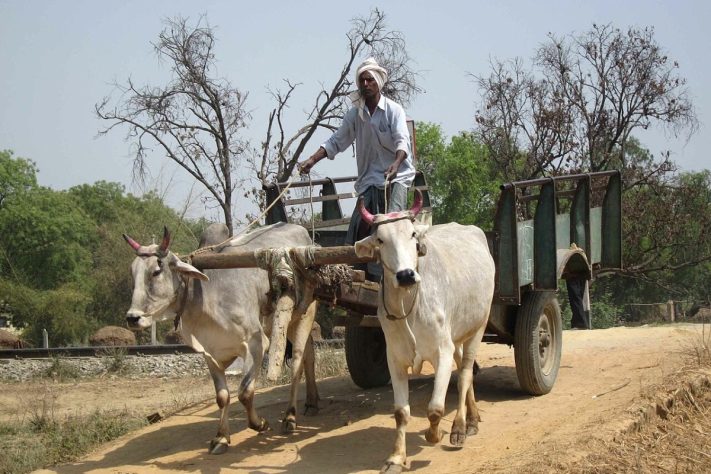 Distrito de Banda, Uttar Pradesh, na Índia, é um dos lugares mais quentes do mundo | Flickr - neiljs