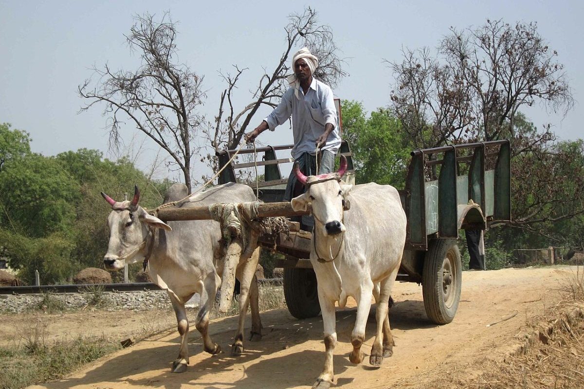 O país enfrenta não apenas temperaturas elevadas, mas também índices crescentes de umidade, combinação que aumenta significativamente o estresse térmico sobre o organismo humano. A planície indo-gangética, onde se encontra Uttar Pradesh, no norte da Índia, é considerada uma das regiões mais suscetíveis a esse tipo de calor extremo.