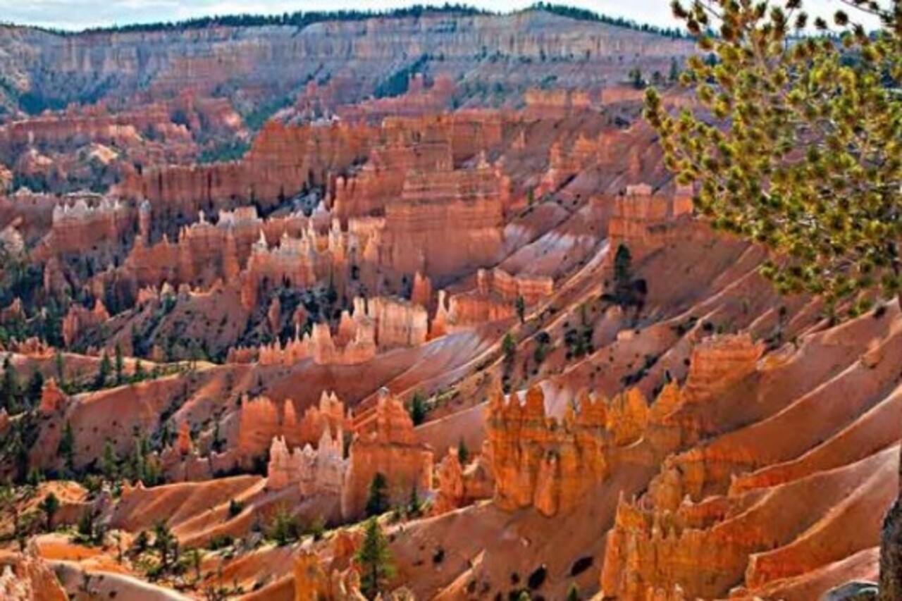 Para quem prefere contemplar sem esforço físico, mirantes como Sunrise Point e Bryce Point oferecem vistas inesquecíveis. São locais perfeitos para fotografia e para sentir a grandiosidade do parque. O pôr do sol nesses pontos é considerado mágico e inesquecível.