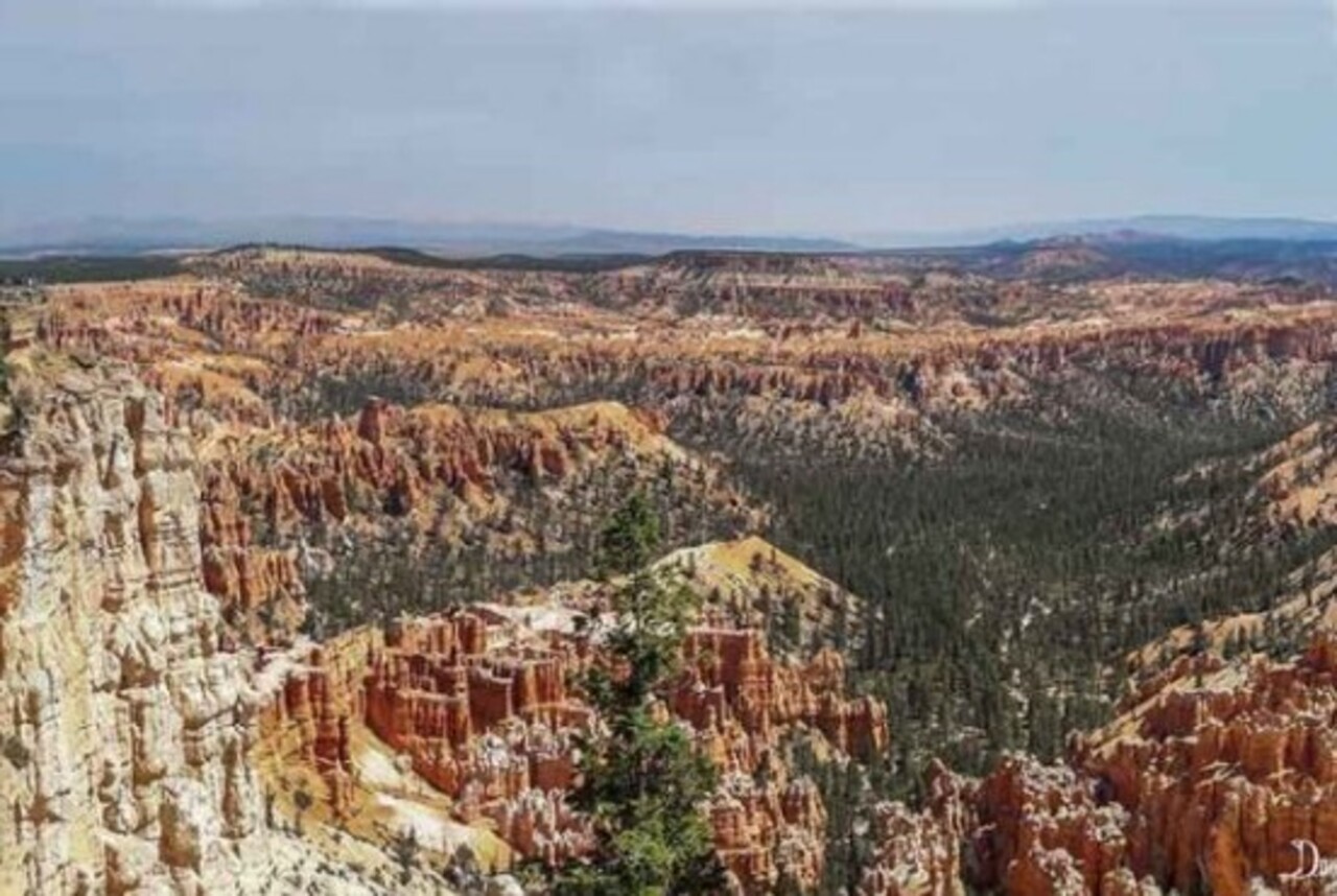Apesar do nome, Bryce Canyon não é um cânion verdadeiro, mas sim anfiteatros naturais. Eles foram escavados na borda do Paunsaugunt Plateau, onde a erosão atua com intensidade. Assim, o parque é mais um palco de esculturas naturais do que um vale profundo tradicional.
