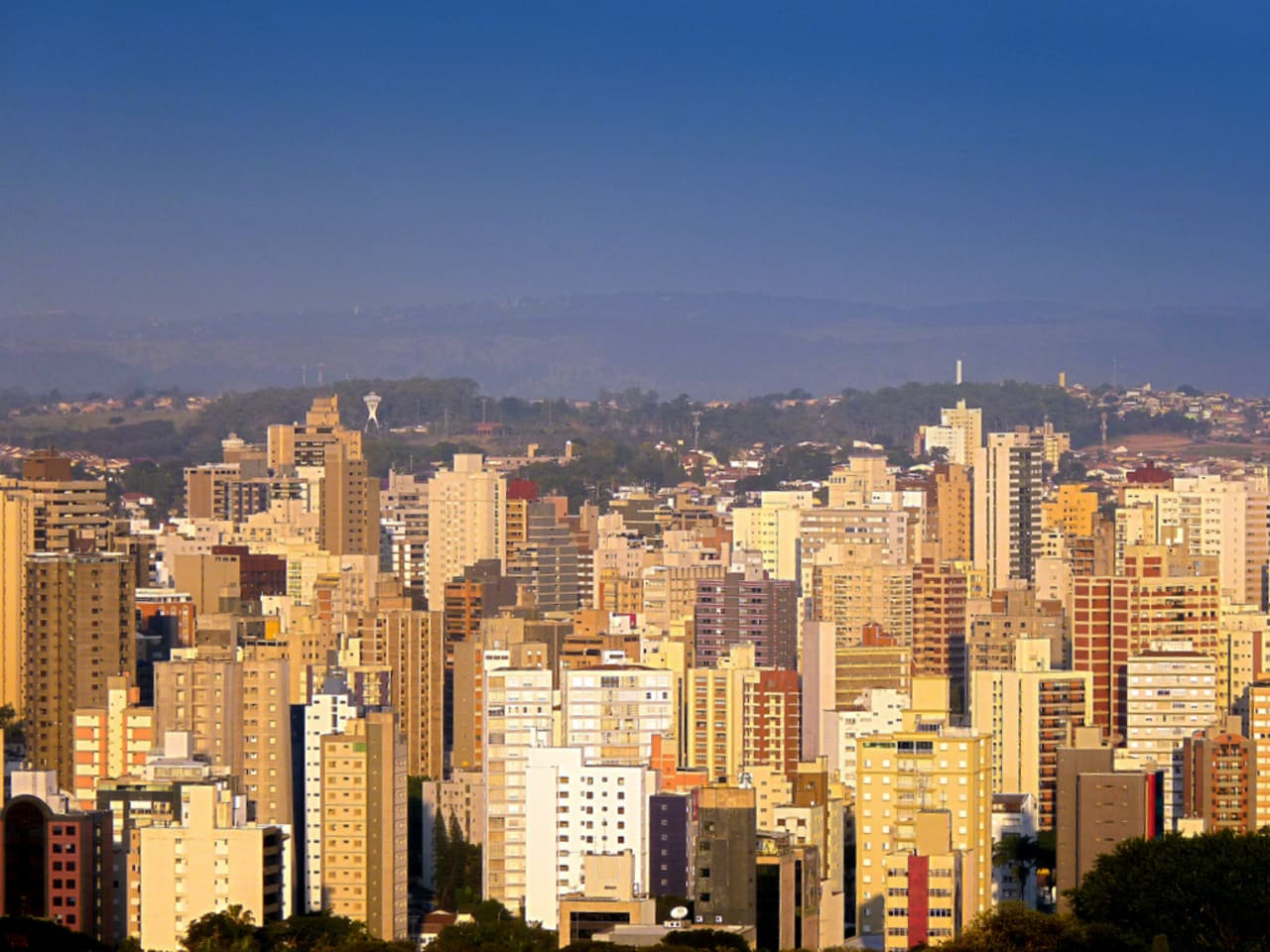 O interior paulista revela cidades que unem tradição e modernidade, oferecendo qualidade de vida e oportunidades de crescimento. Muitas delas se destacam pela infraestrutura urbana, bons índices de saúde e educação, além de ambientes seguros e acolhedores. A proximidade com a capital, sem perder o ritmo tranquilo, torna essas localidades ainda mais atrativas para famílias e profissionais. Há também forte presença cultural e opções de lazer que enriquecem o cotidiano dos moradores. Descubra quais -  (crédito: oelson wikimedia commons )