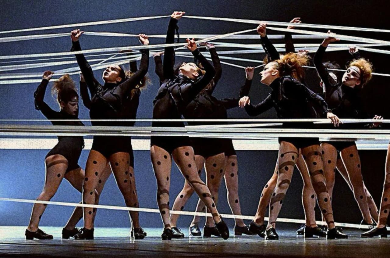 O Festival de Dança de Joinville conquistou prestígio mundial, sendo considerado o maior em número de participantes. A primeira vez em que o evento foi citado no Guinness Book eram 4 mil participantes, de acordo com organização. Na ocasião, o ano foi 2002. Vinte anos depois, em 2022,dez mil dançarinos foram até Joinville para participar do evento. Hoje, os números superam os 15 mil.