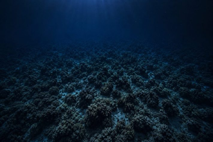 Recife de coral – Imagem gerada por IA