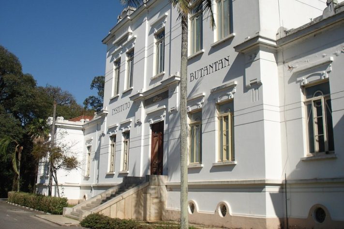 Instituto Butantan – Wikimedia Commons/Rhcastilhos