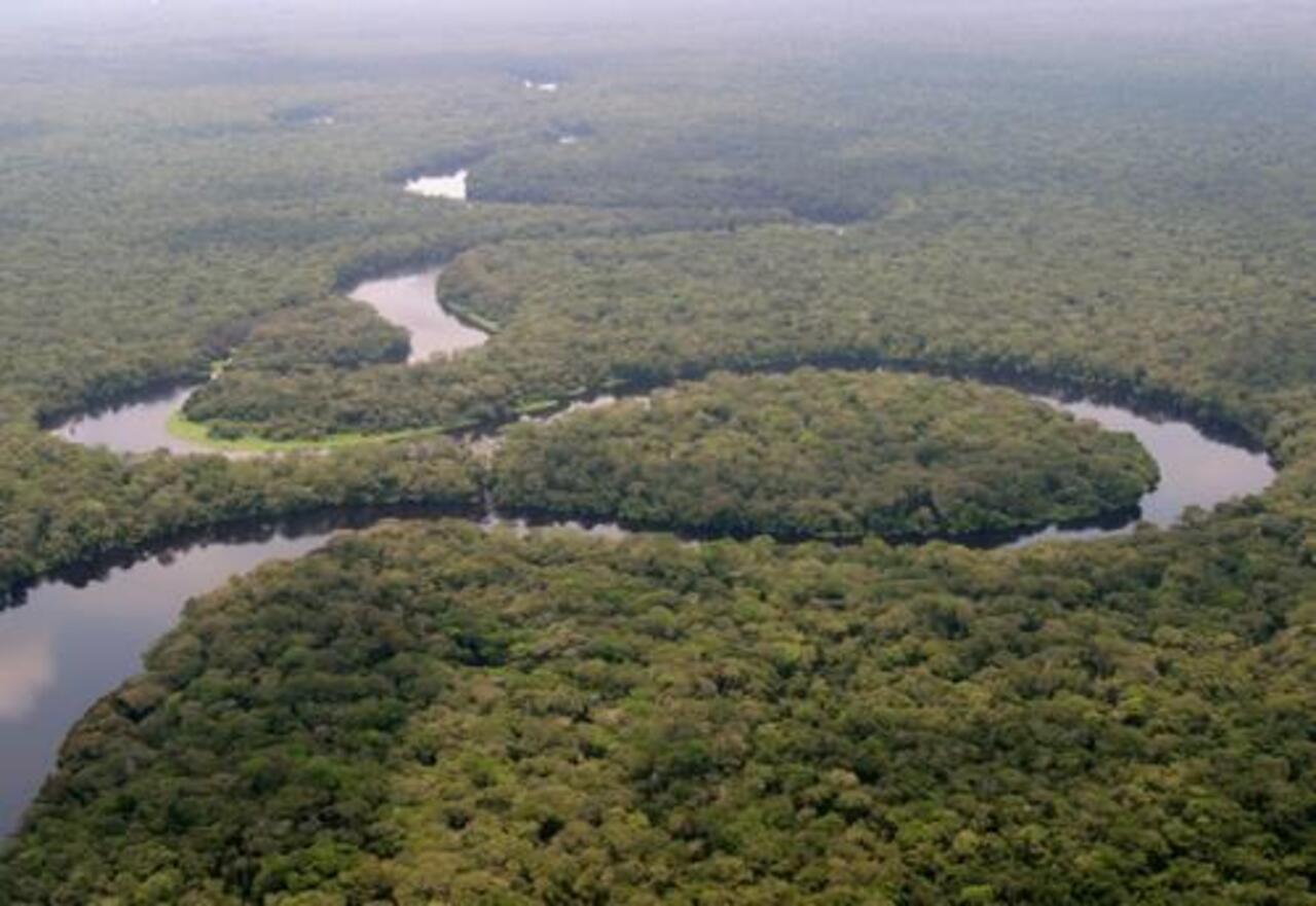 3ª - Floresta do Congo – República Democrática do Congo - É responsável por 70% da cobertura vegetal do subcontinente africano. Segunda maior floresta tropical do mundo depois da Amazônia. Abriga muitas espécies endêmicas, como o Chimpanzé Pigmeu.